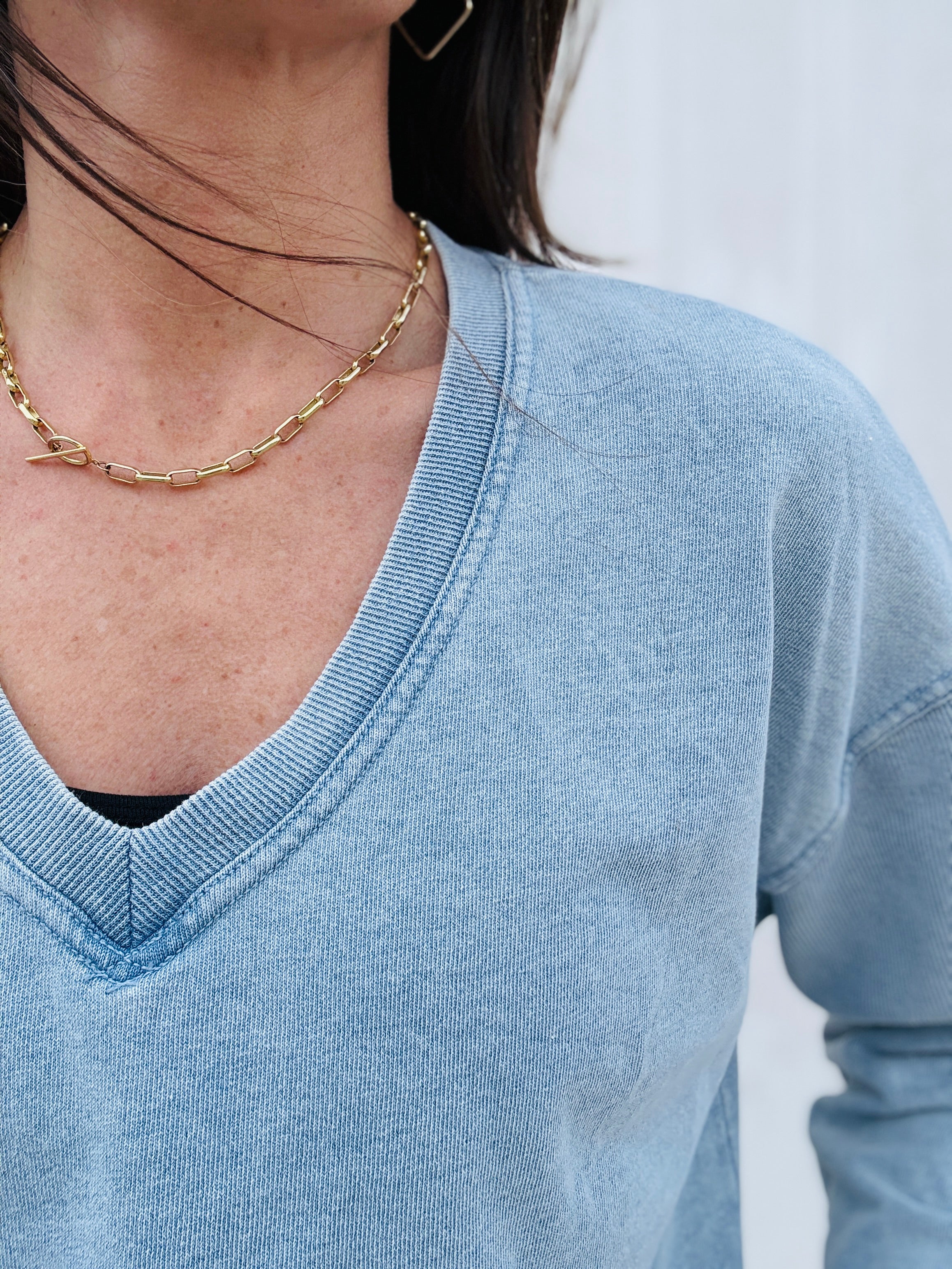 Z Supply Delphine Denim Sweatshirt