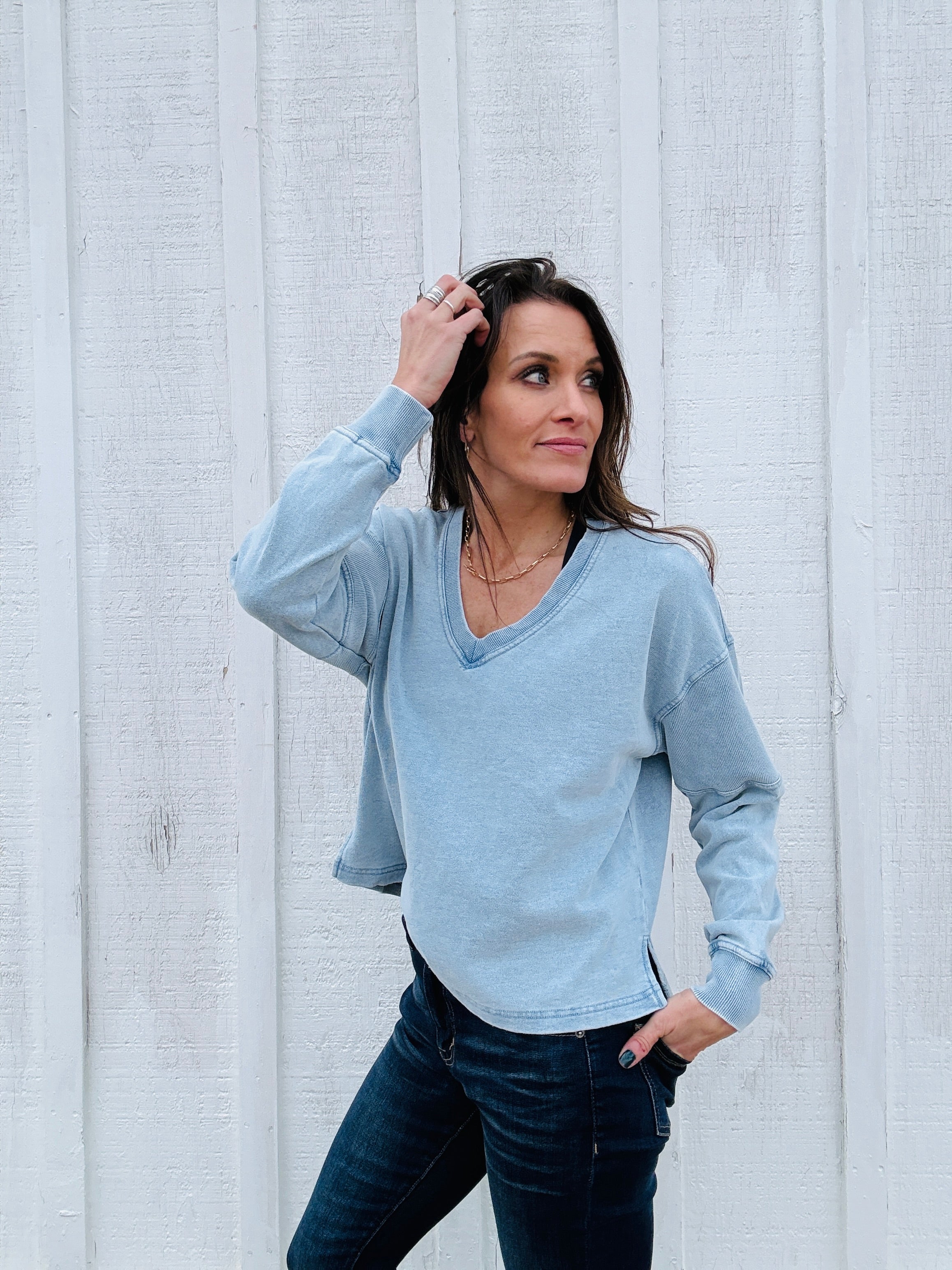 Z Supply Delphine Denim Sweatshirt