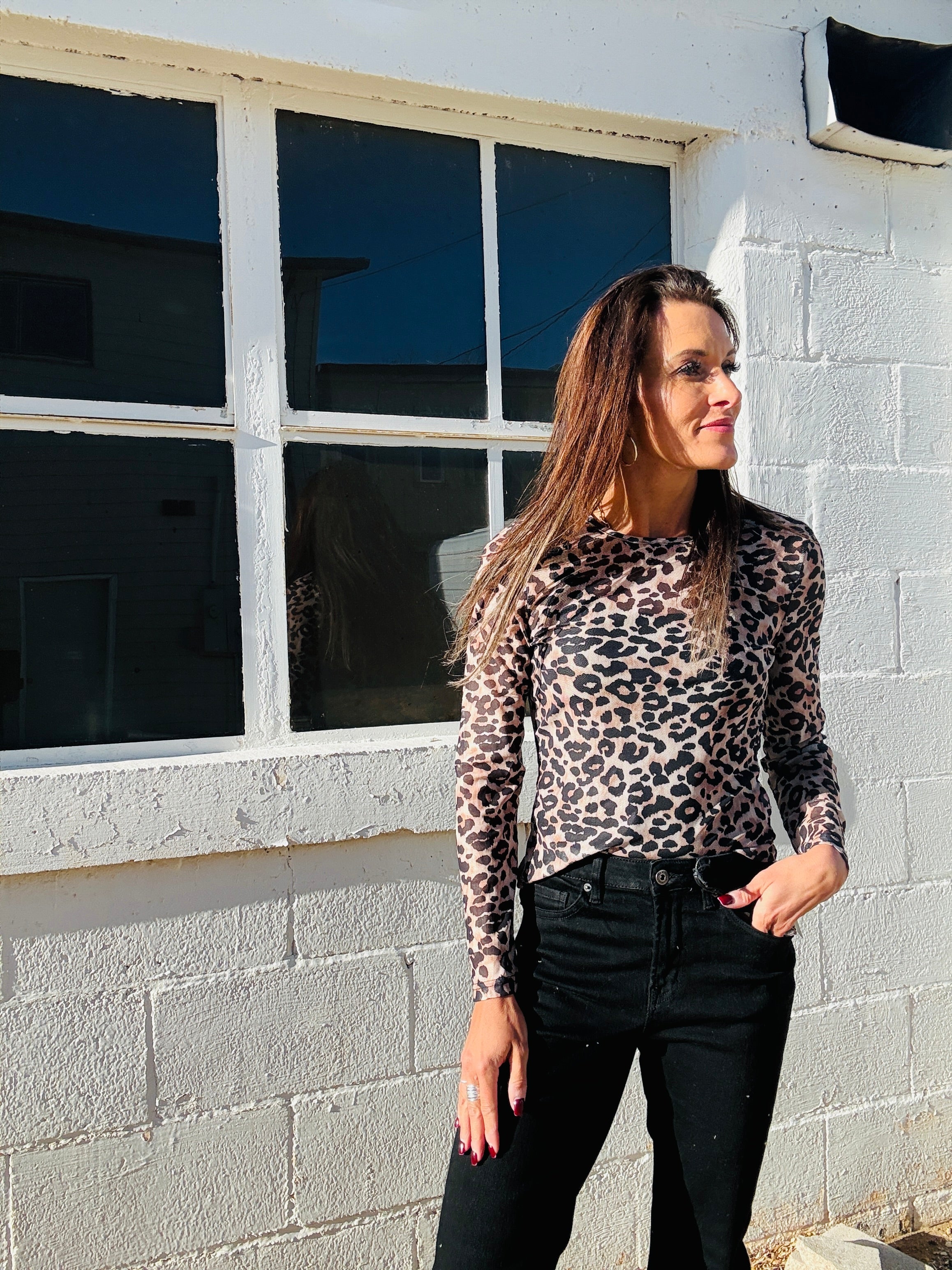 Leopard Print Sheer Top