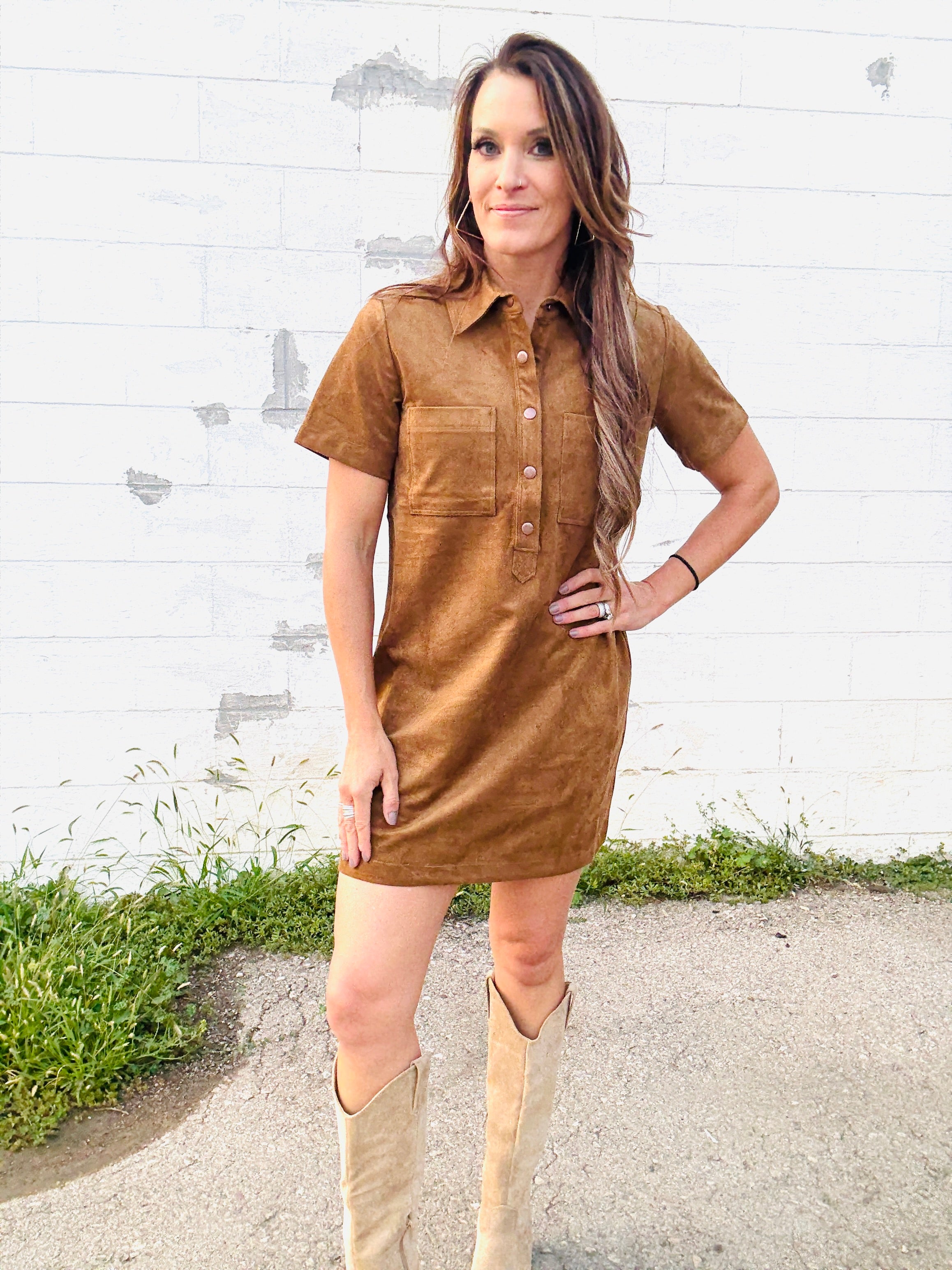 Z SUPPLY Sydney Suede Mini Dress