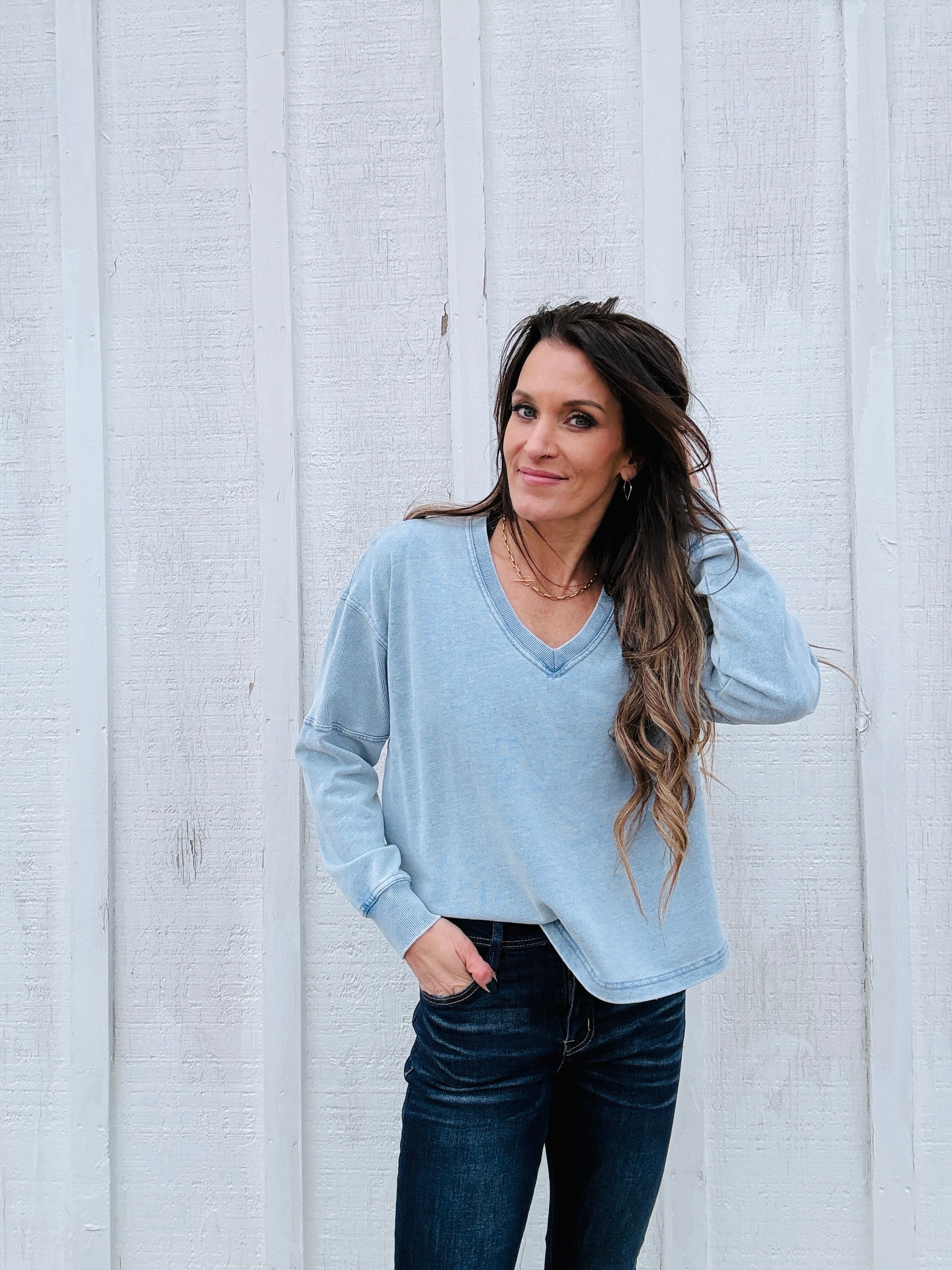 Z Supply Delphine Denim Sweatshirt