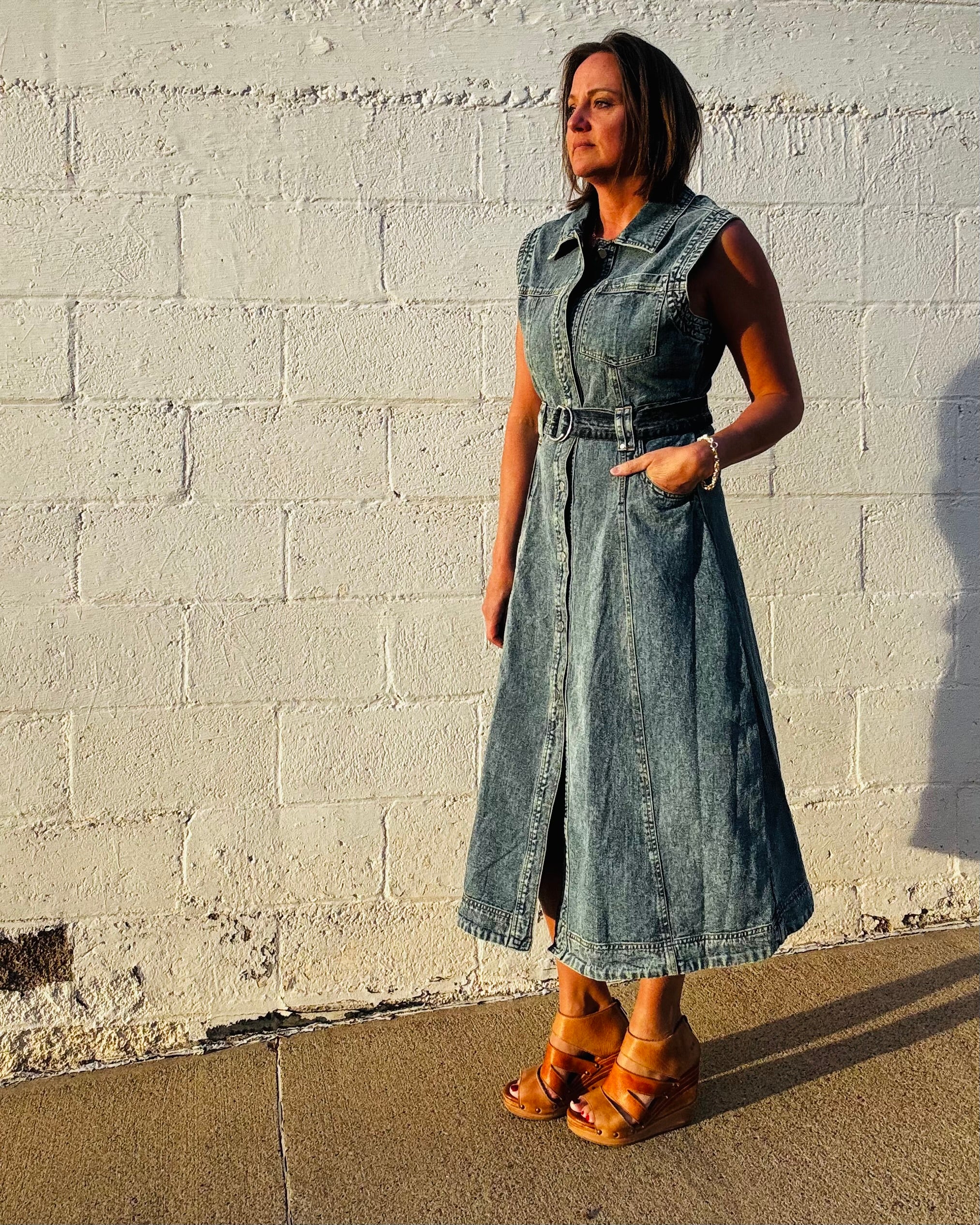 Elan Classic Denim Dress