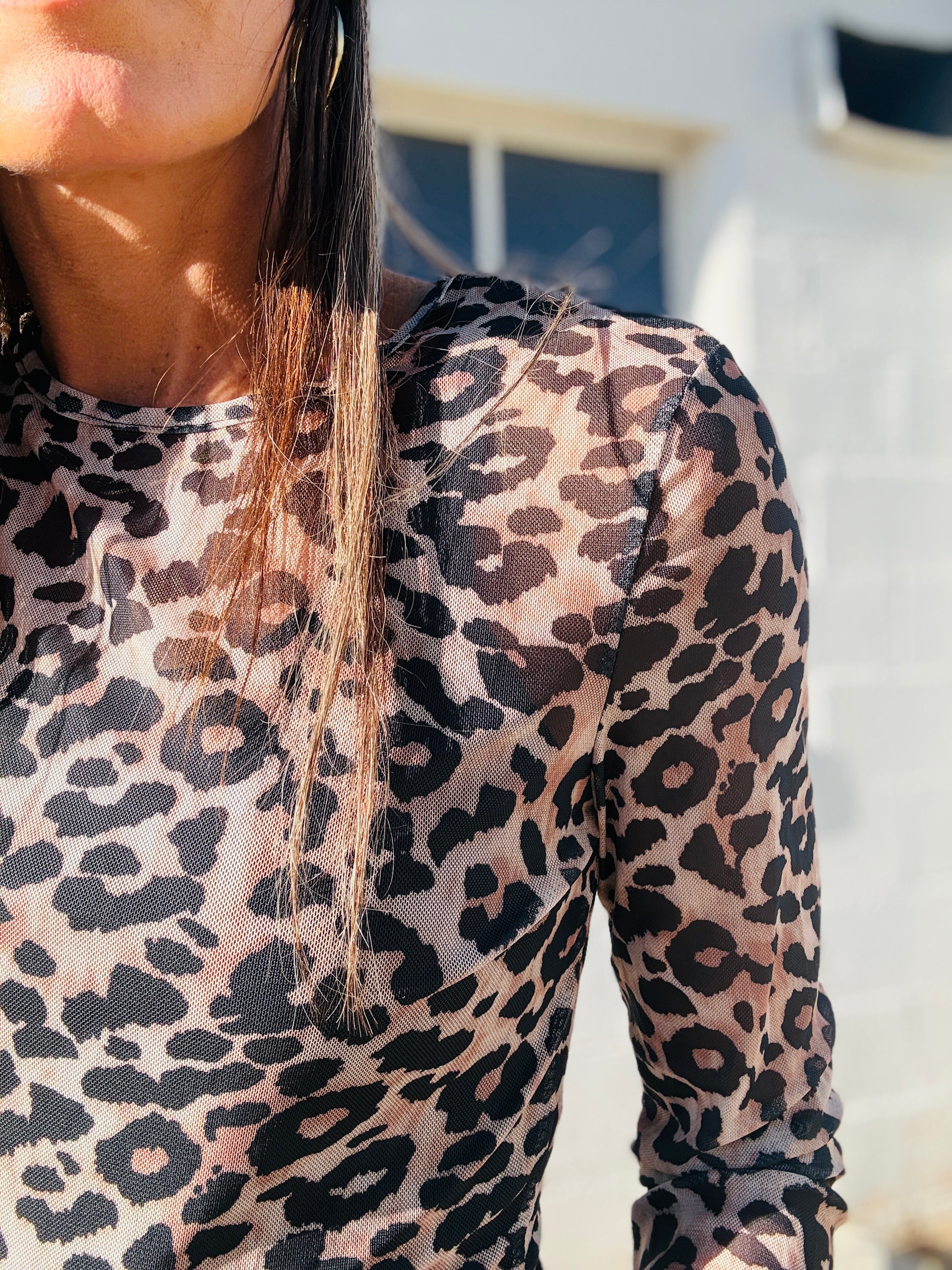 Leopard Print Sheer Top