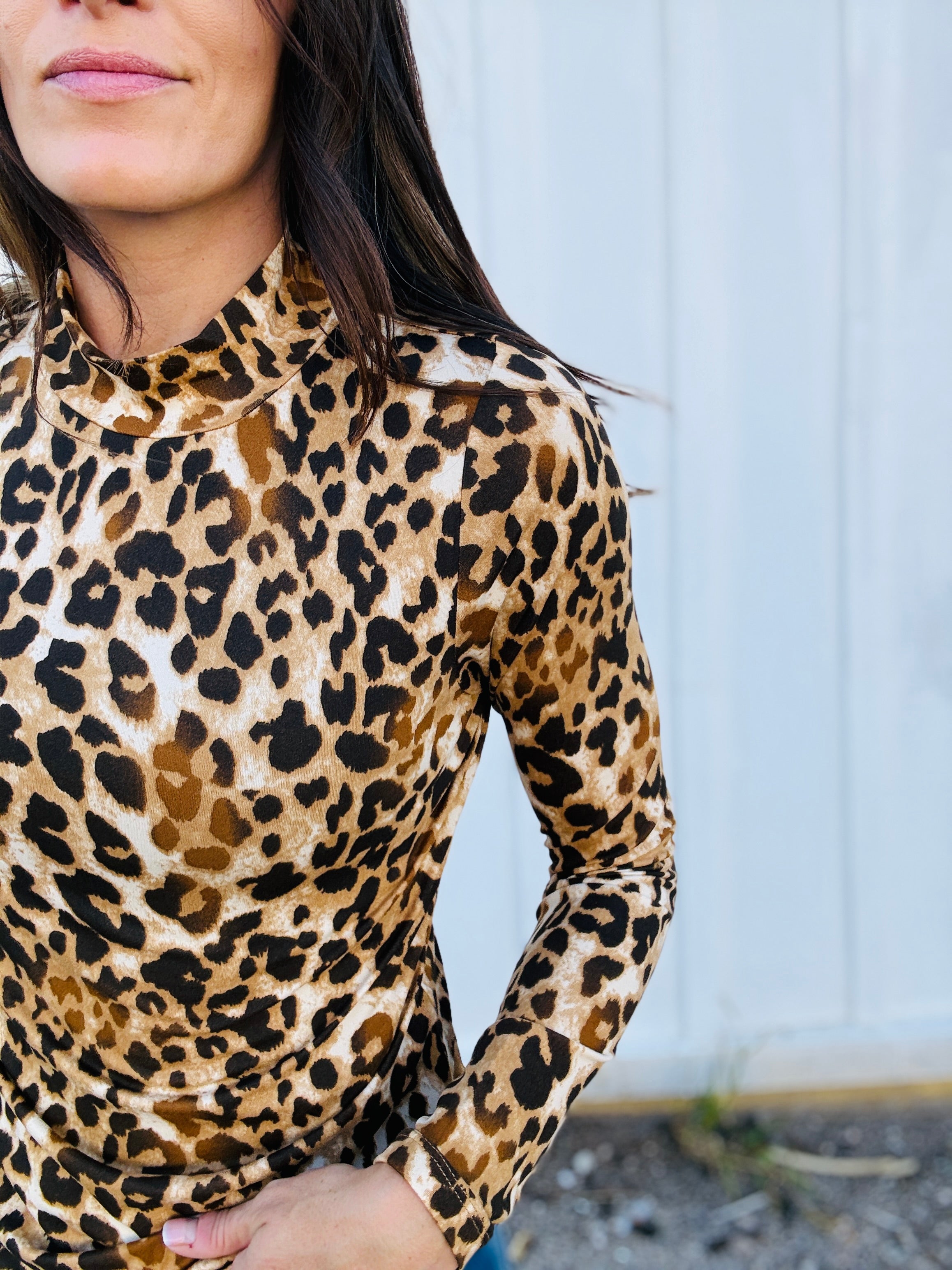 Sasha Leopard Mock Neck Top