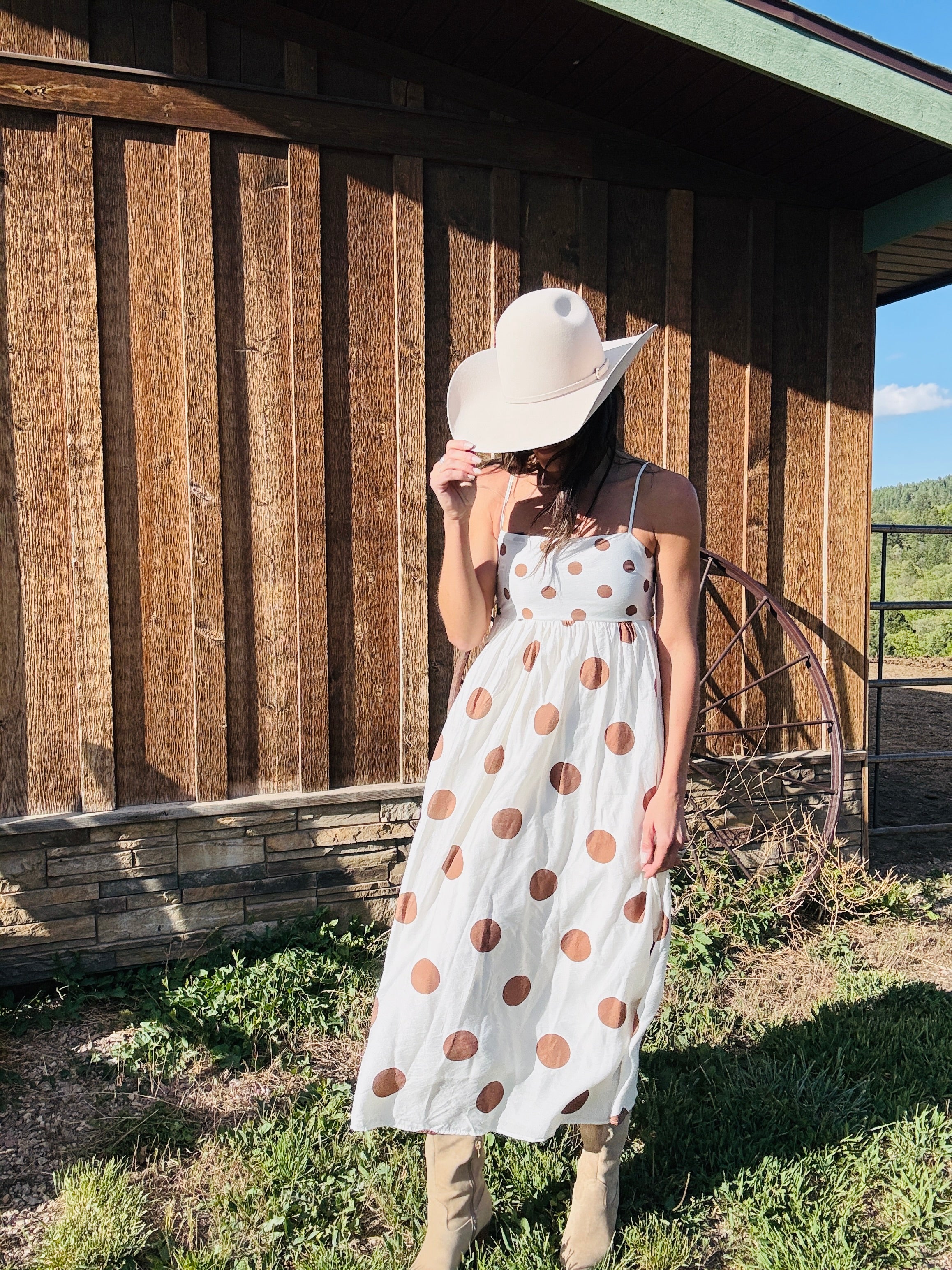 Sadie Polka Dot Dress