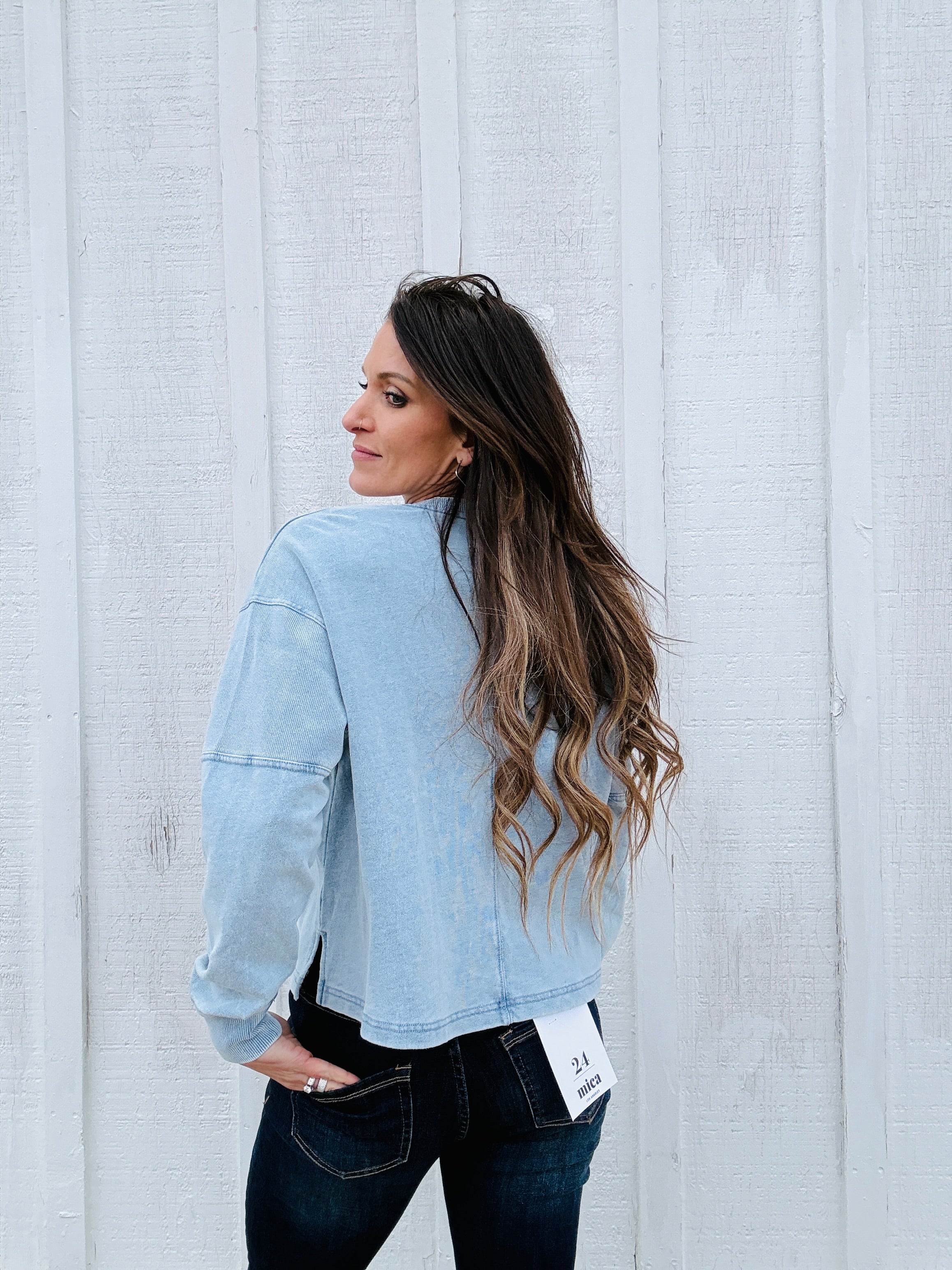 Z Supply Delphine Denim Sweatshirt