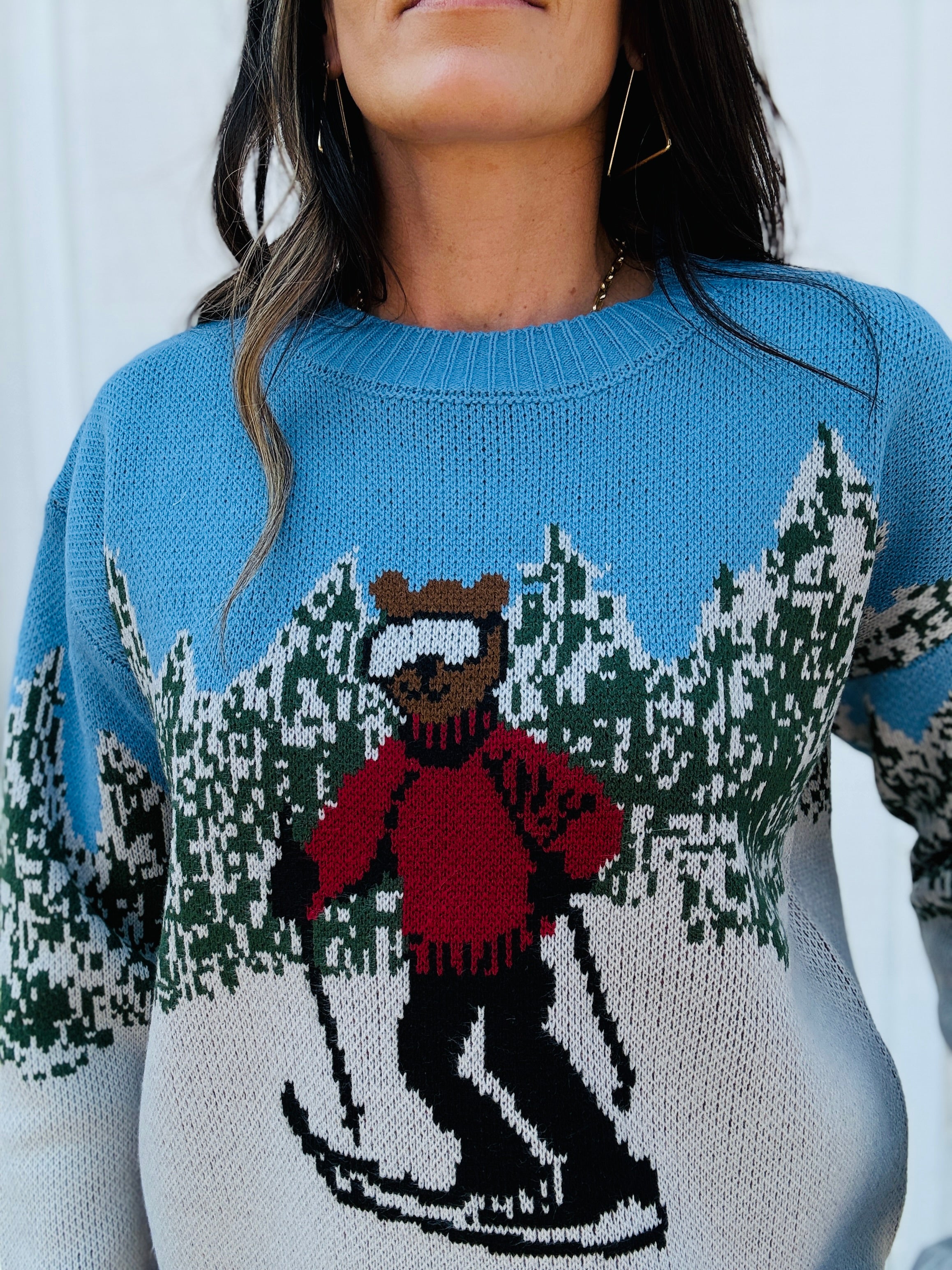 Teddy Skier Sweater