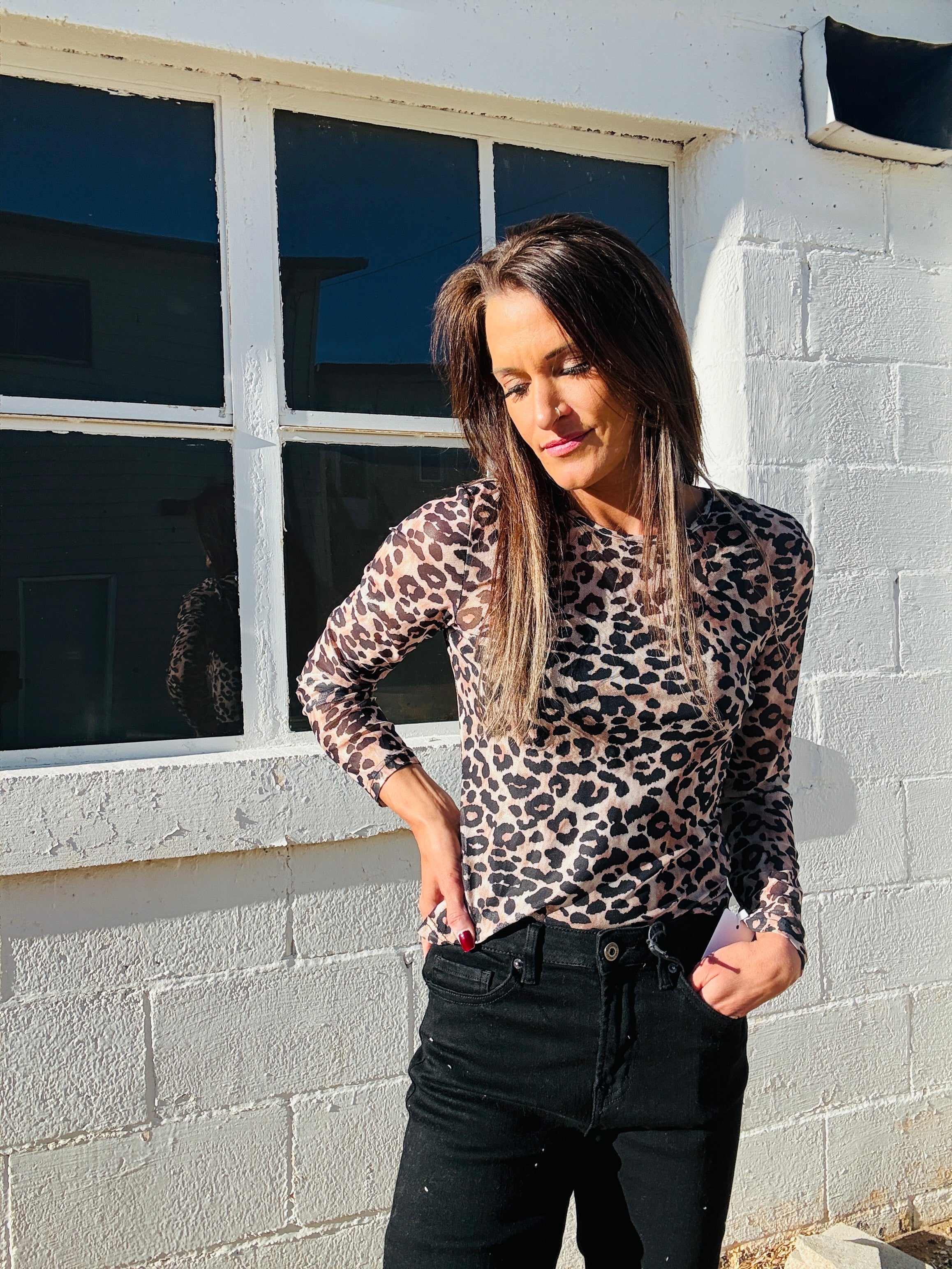 Leopard Print Sheer Top