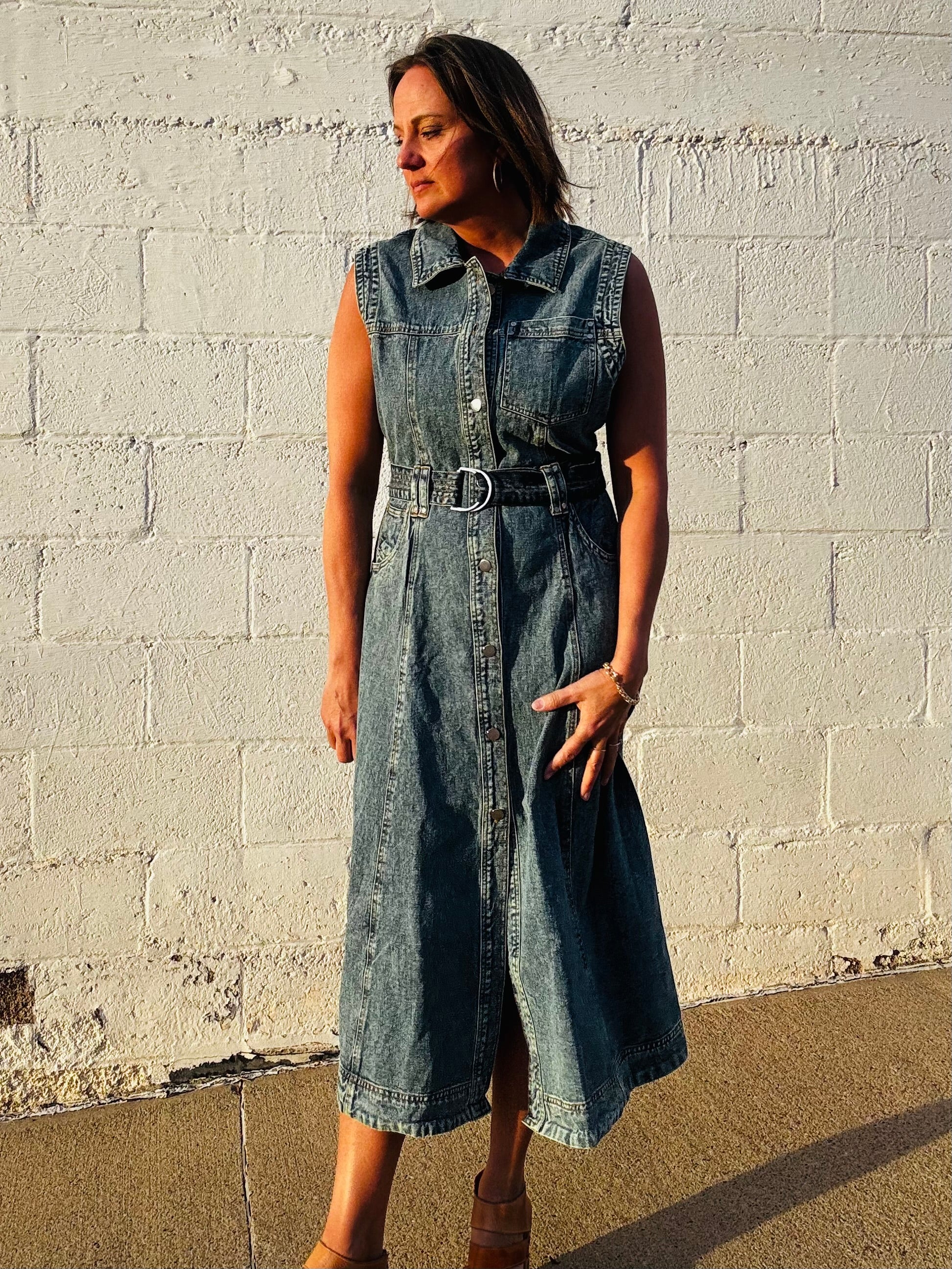 Elan Classic Denim Dress