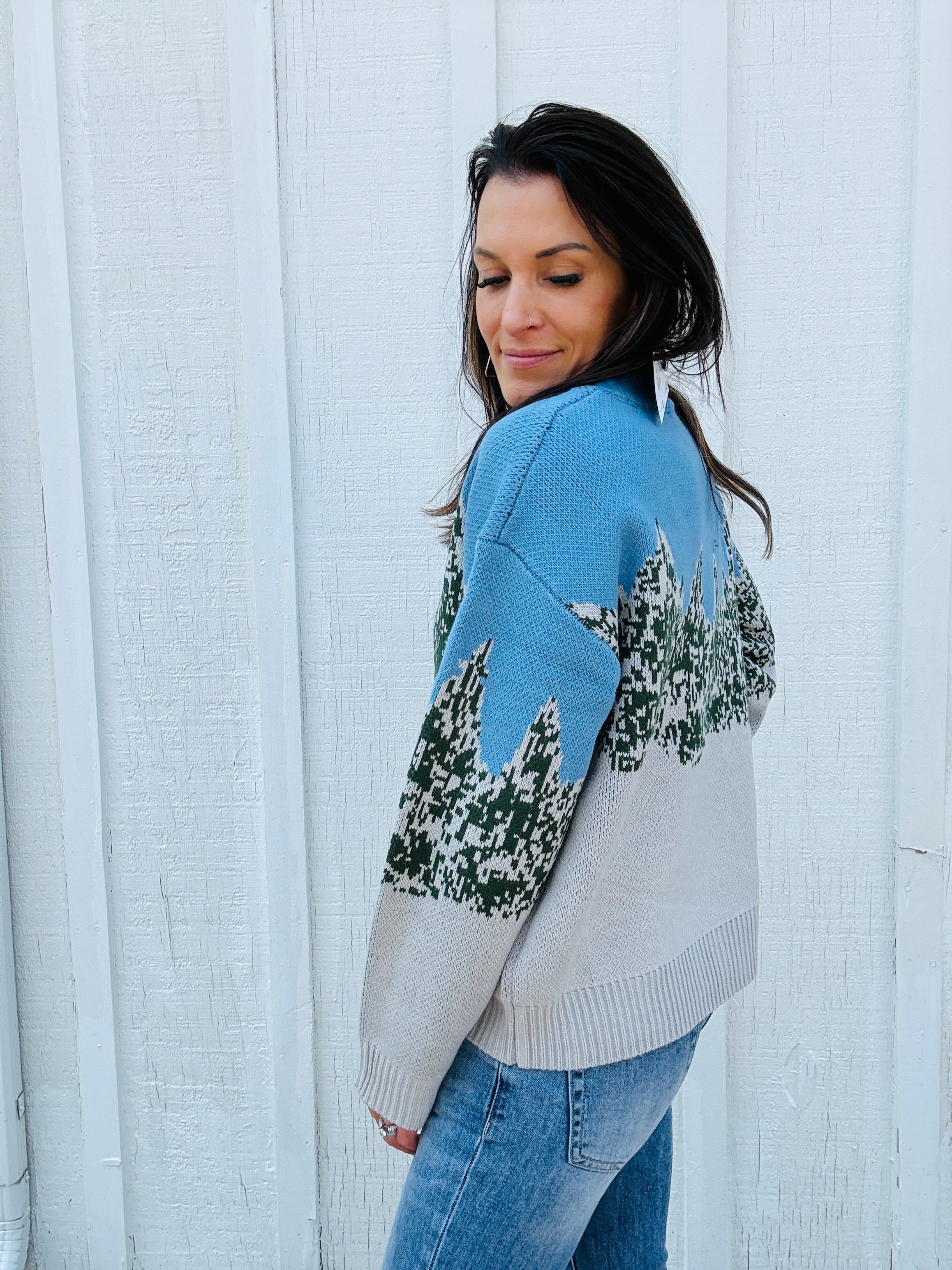 Teddy Skier Sweater