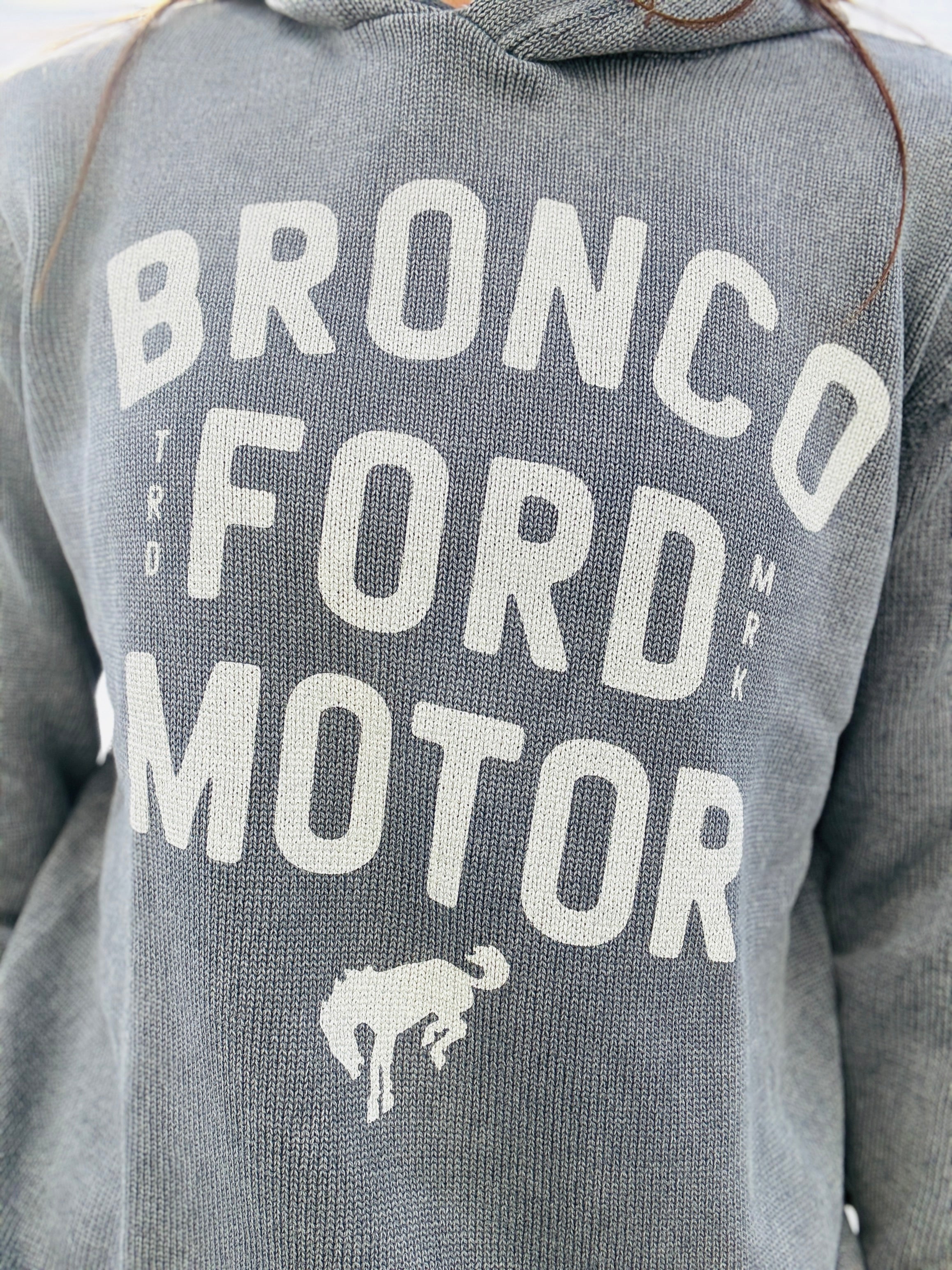 American Needle Bronco Sweater Hoodie