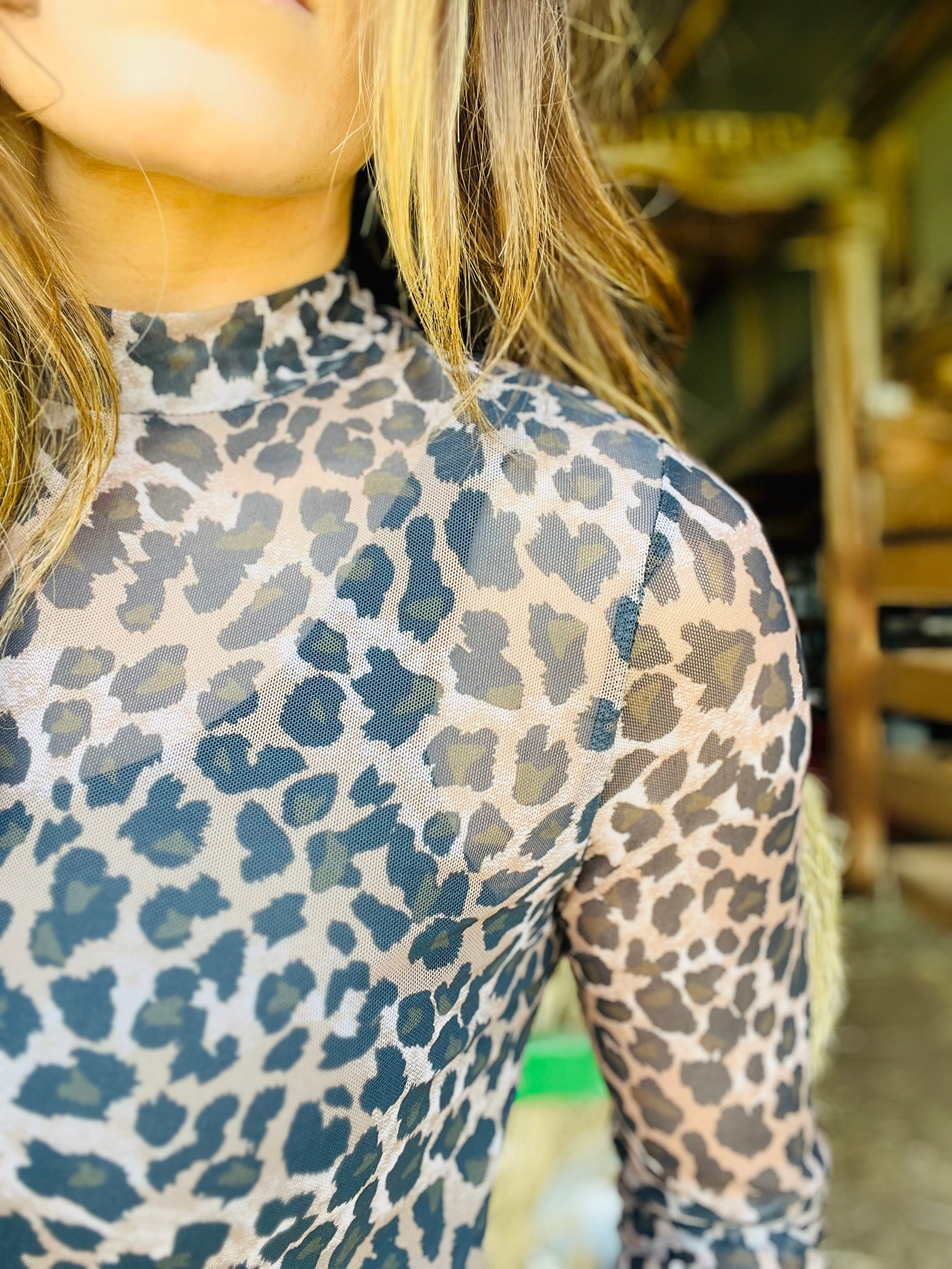 Leopard Print Long Sleeve
