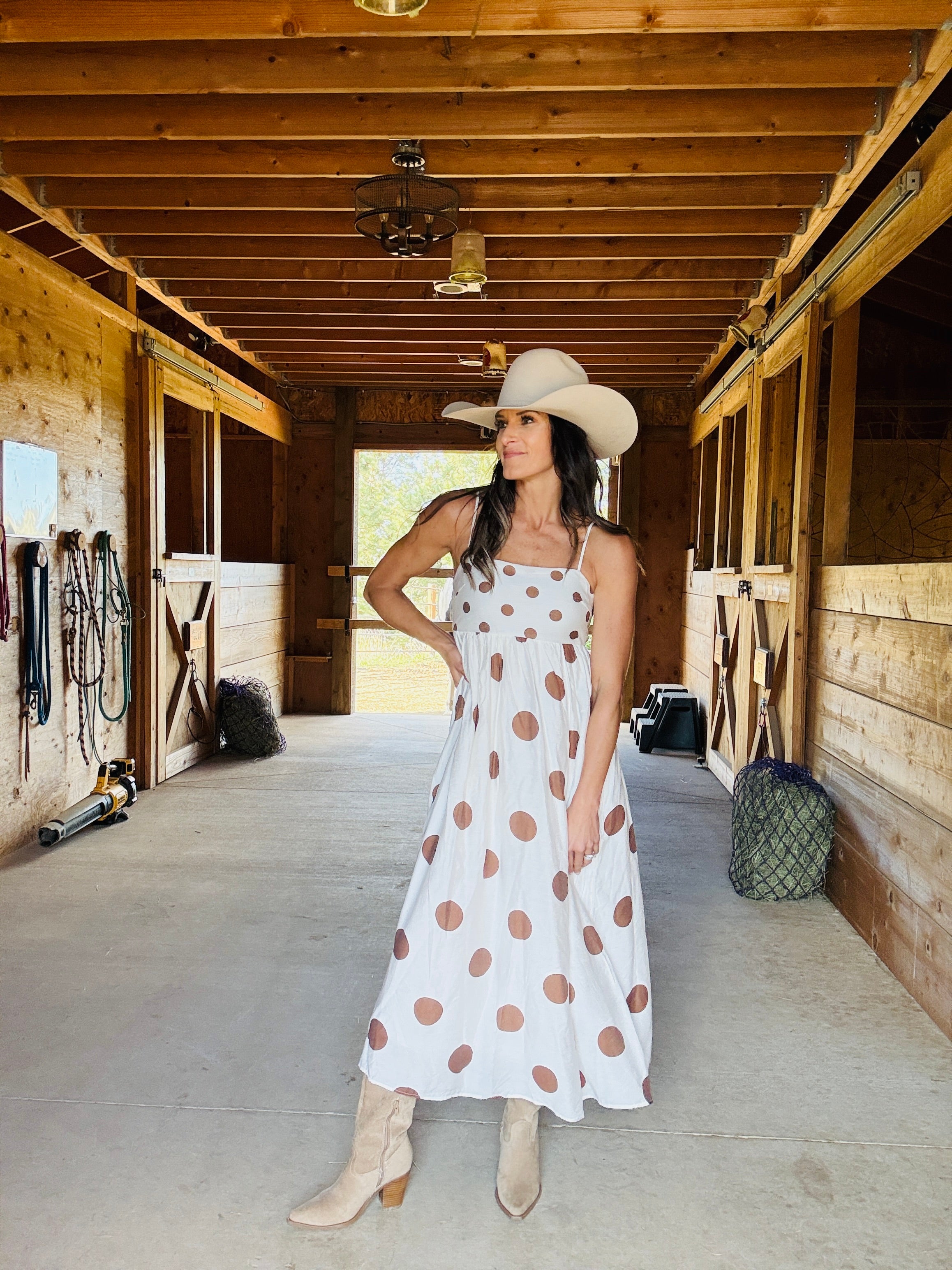 Sadie Polka Dot Dress