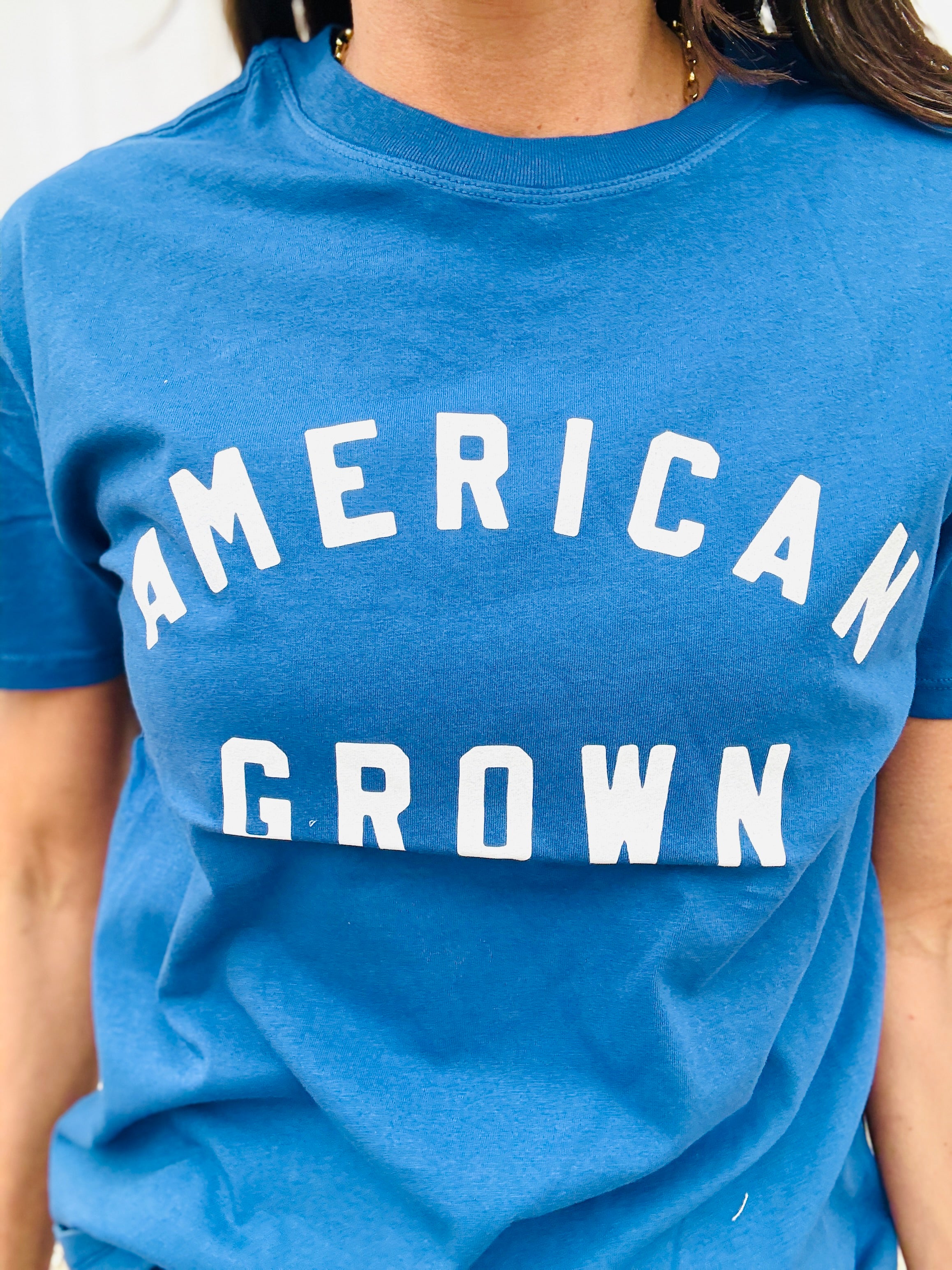 Z Supply American Boyfriend Tee