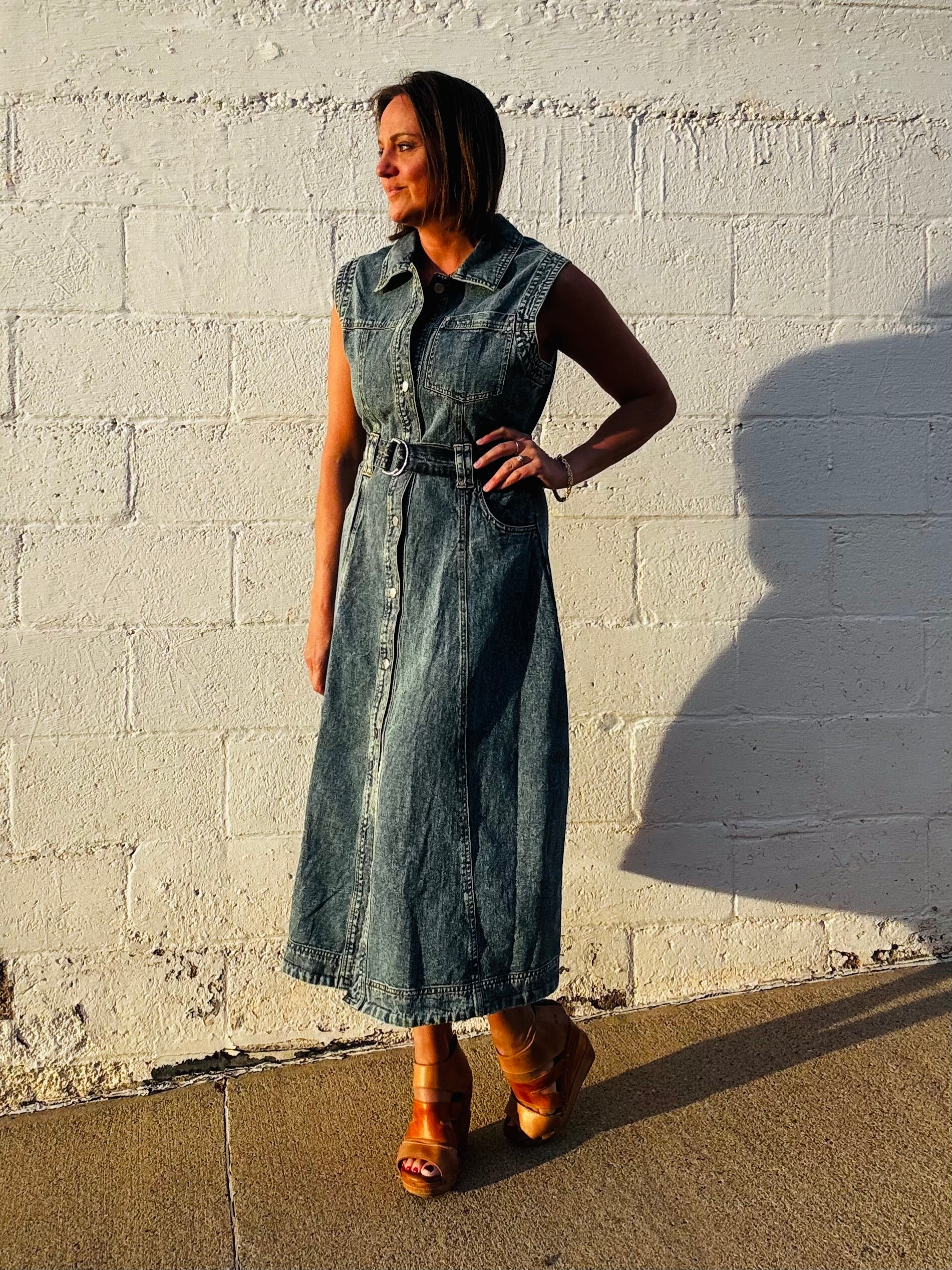 Elan Classic Denim Dress