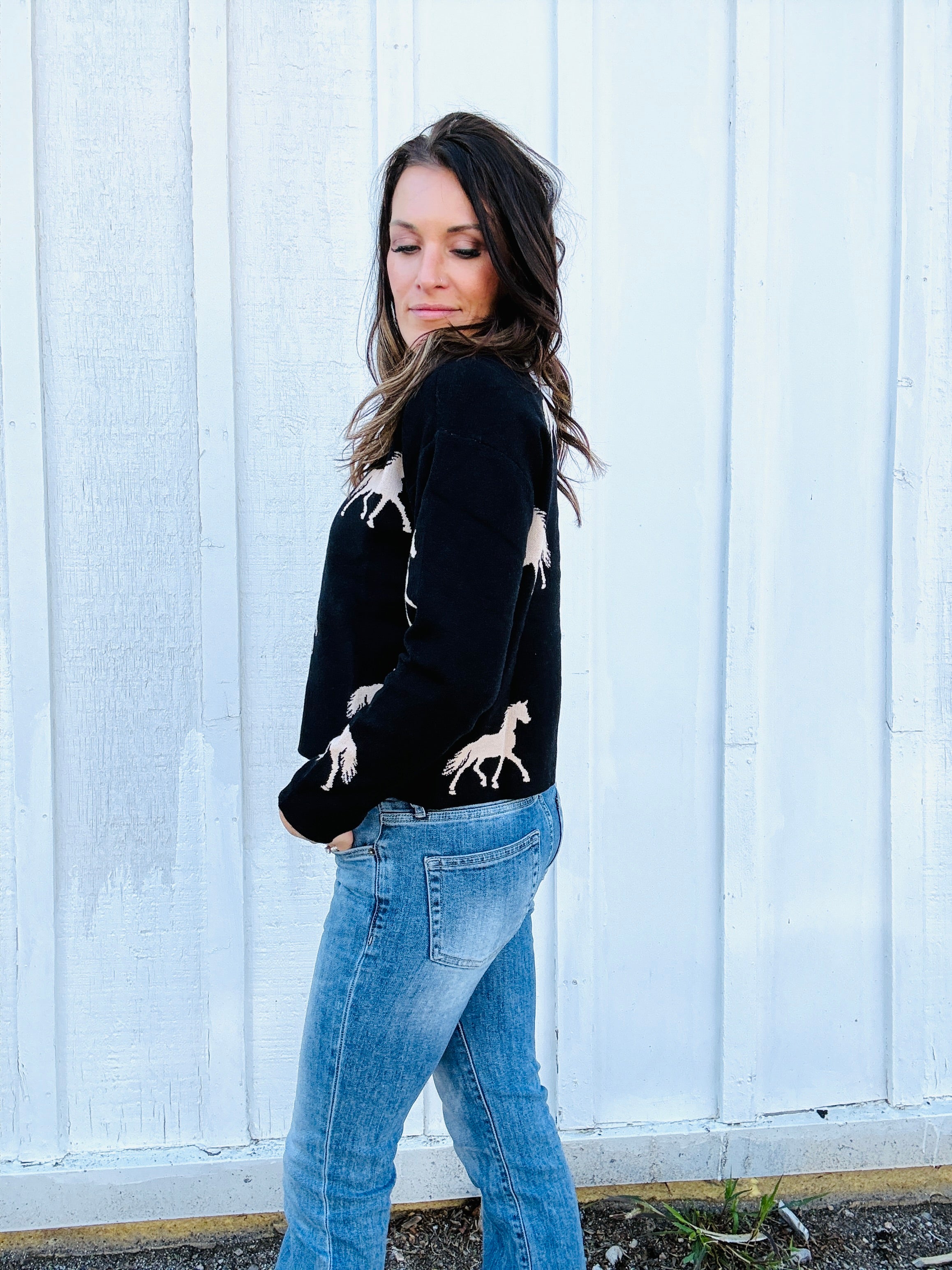 Trotting Horses MN Sweater