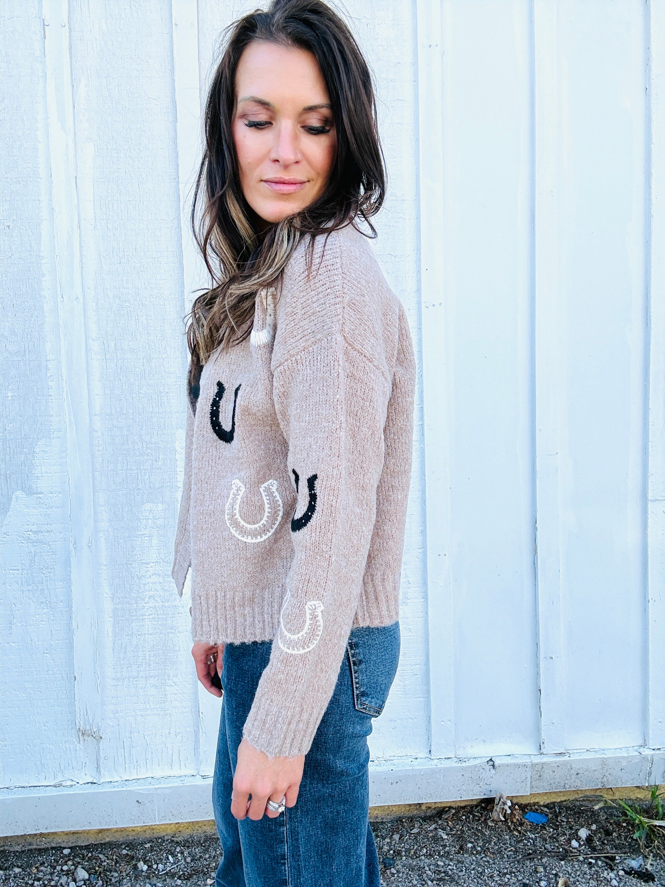 Lucky Horseshoe Cardigan