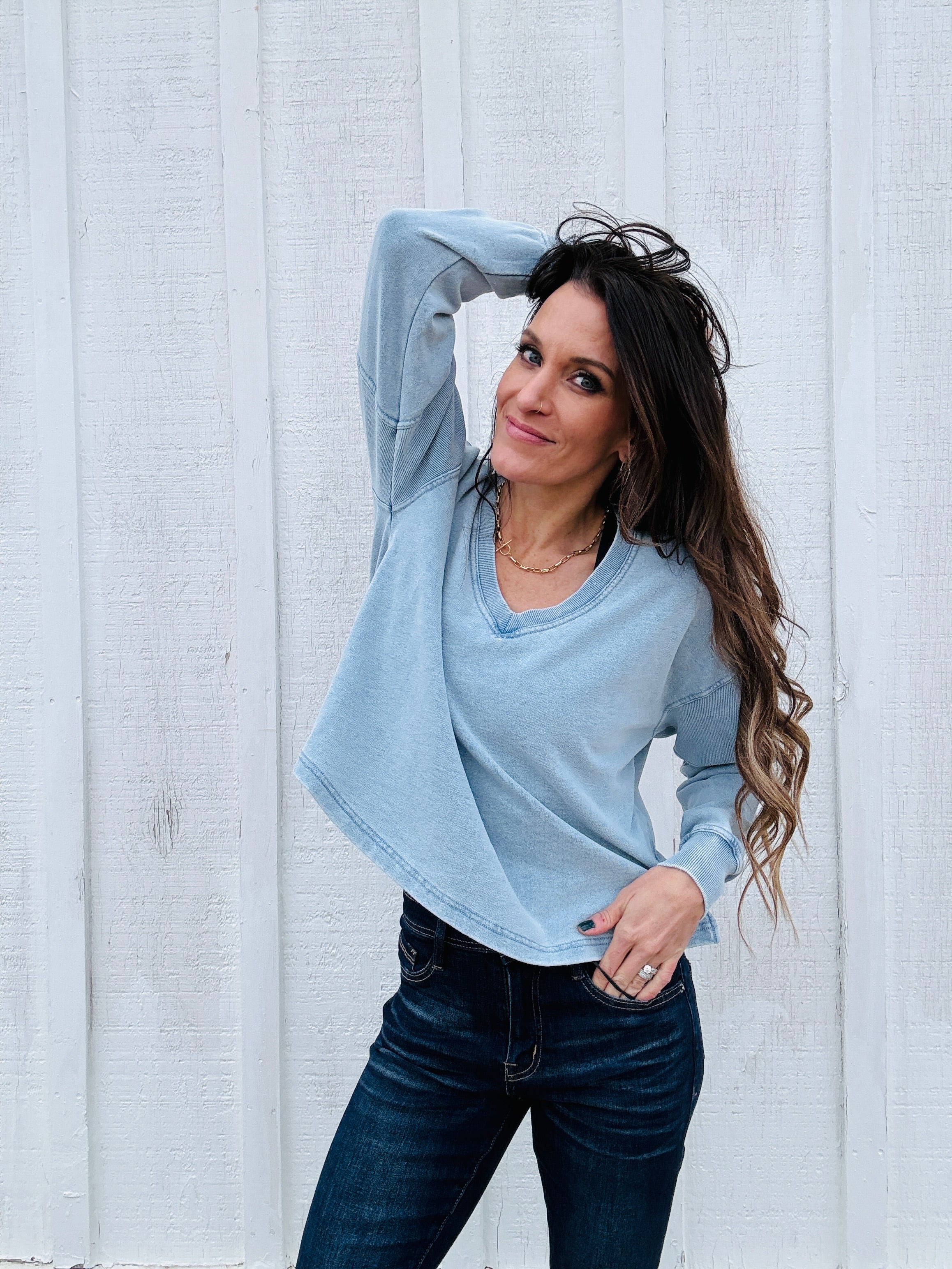 Z Supply Delphine Denim Sweatshirt