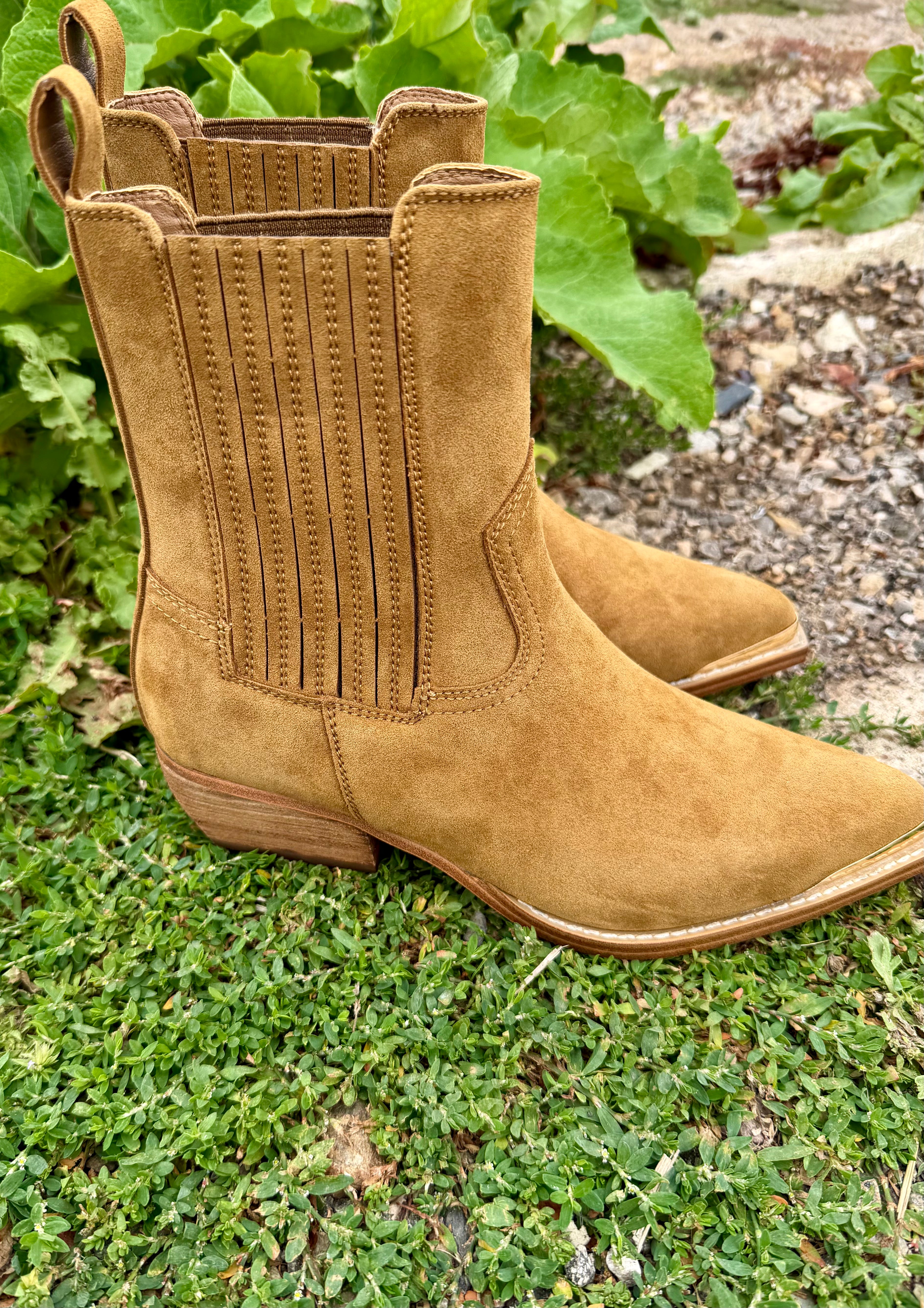 MIA Radly Suede Bootie