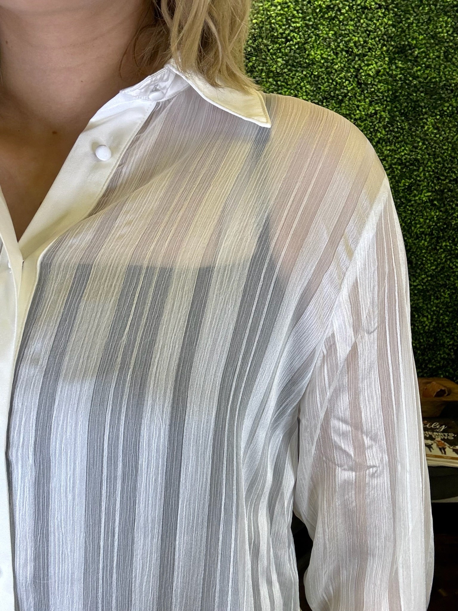 Sheer Stripe Button-Down Long Sleeve