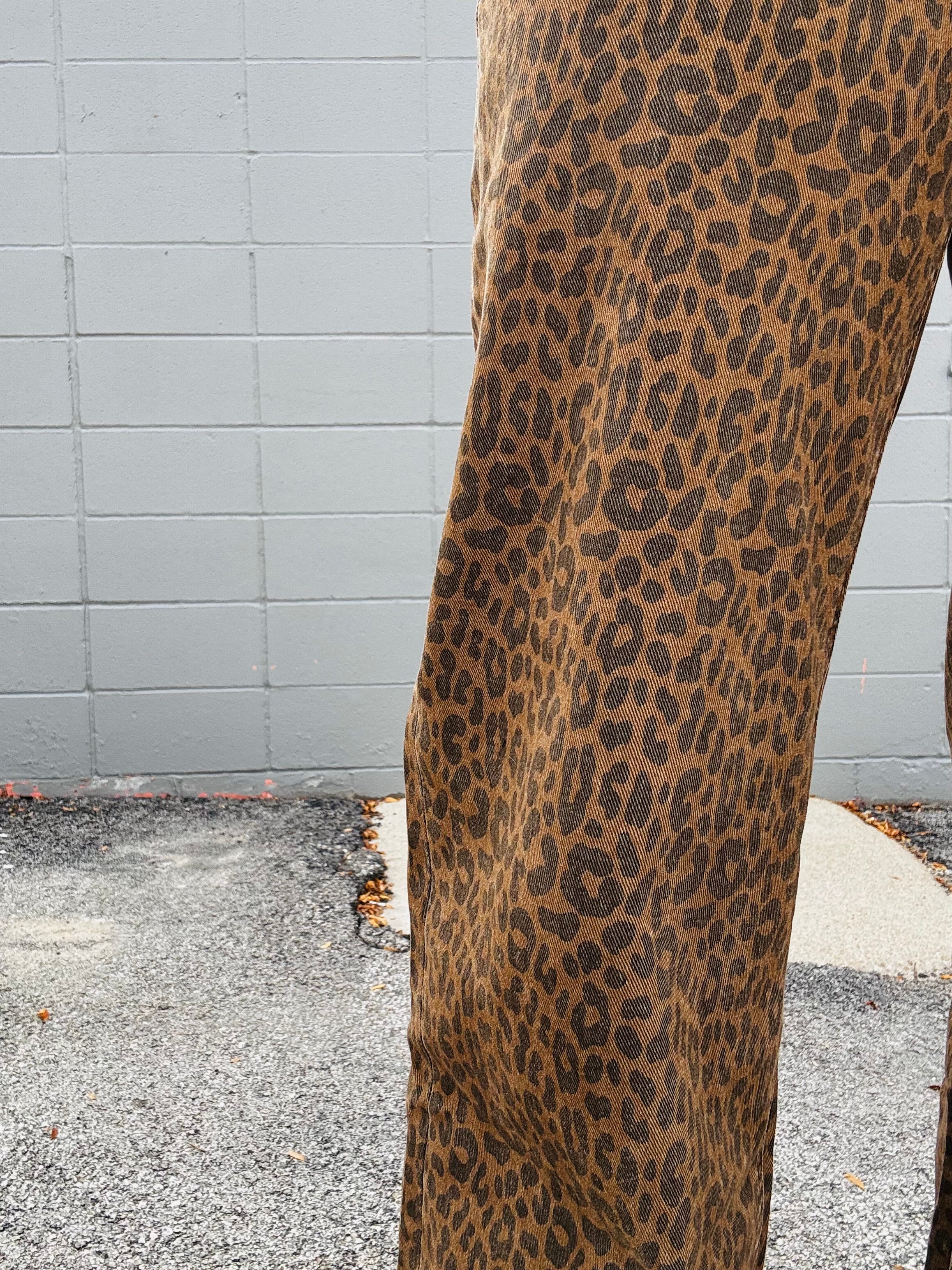 MICA SHR Brown Derby Cheetah