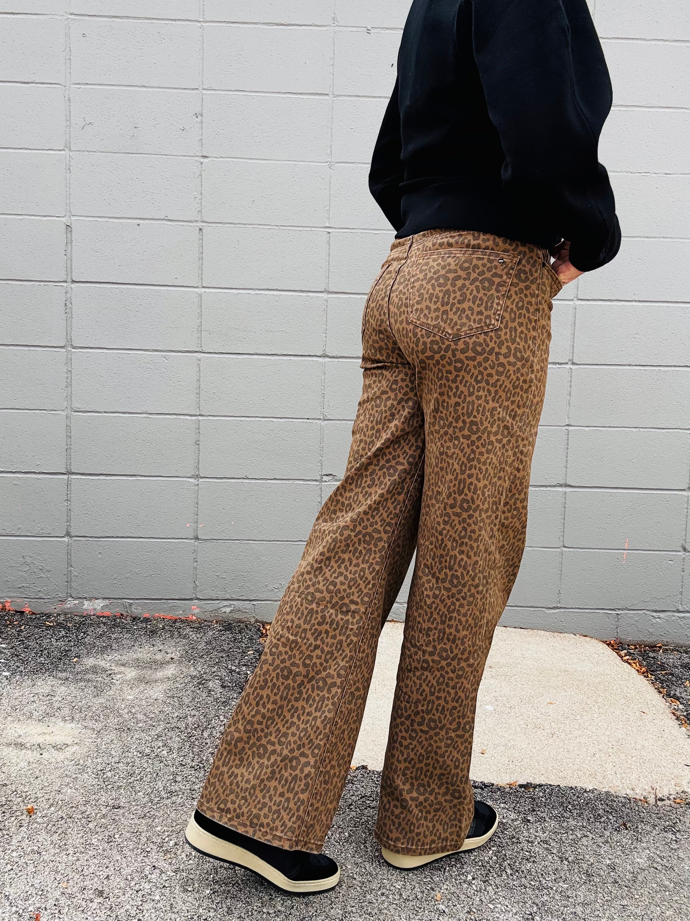 MICA SHR Brown Derby Cheetah