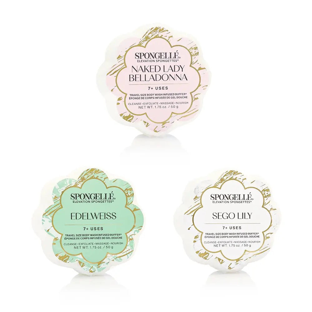 Spongelle Elevation Sponge