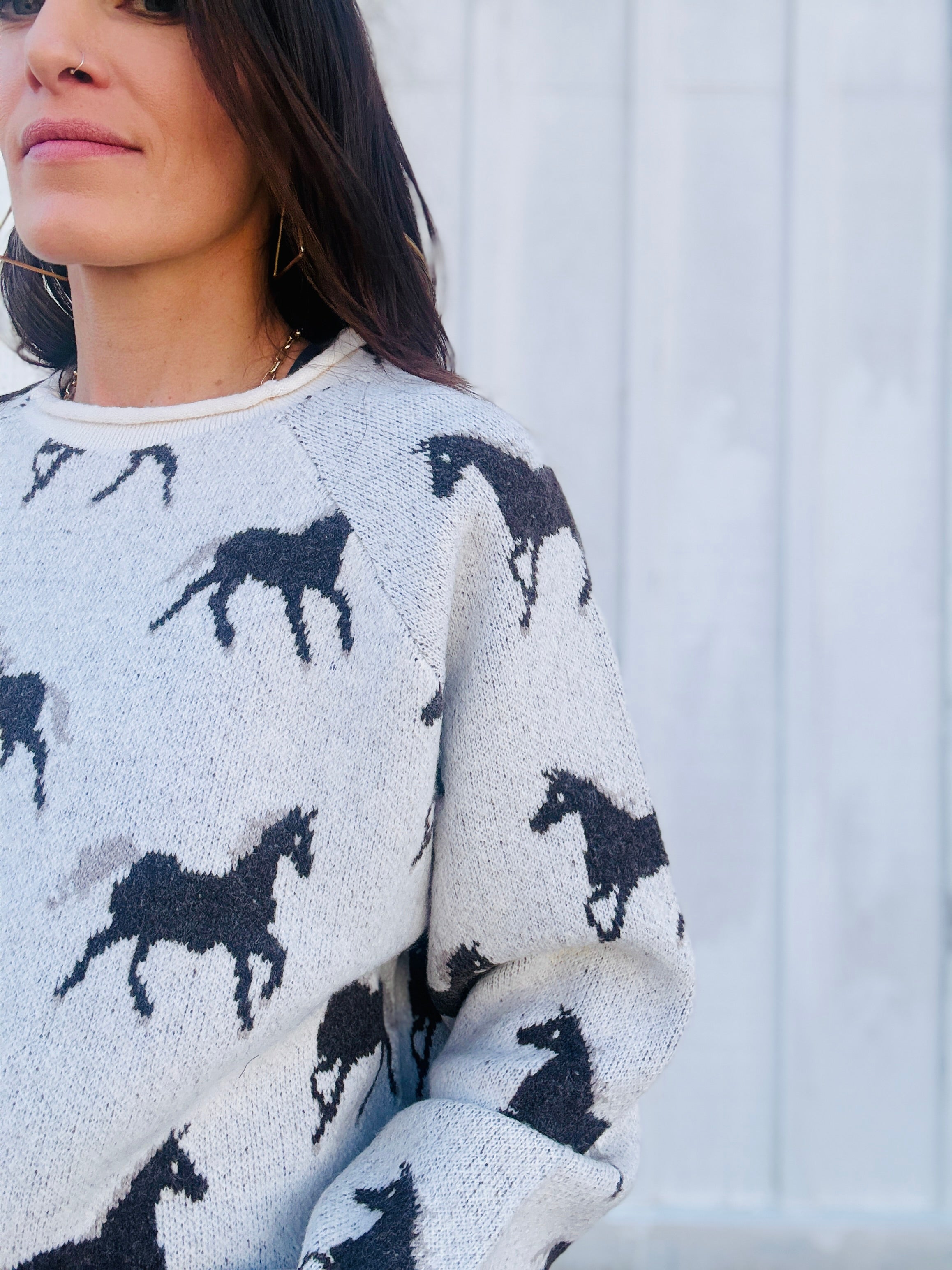 Horsin' Around Sweater